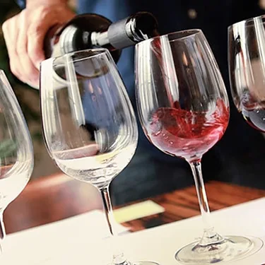 Sumérgete en una experiencia sensorial única. Descubre los matices de las mejores etiquetas guiado por  expertos, en un entorno elegante y acogedor. Aprende a apreciar los aromas, sabores y texturas que hacen especial a cada vino.